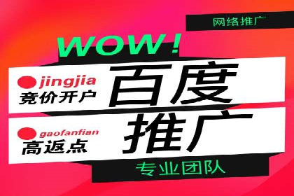 百度SEO推广案例：案例分析及优化方案